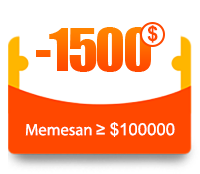 $100 coupon