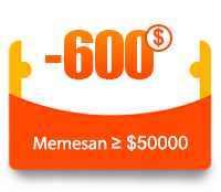 $300 coupon