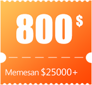 $800 coupon