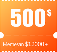 $500 coupon