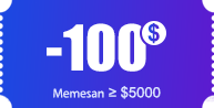$100 coupon