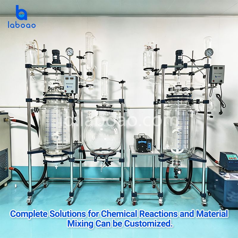 50L 80L Lab Crystallization Filter Reactor Untuk CBD Isolate