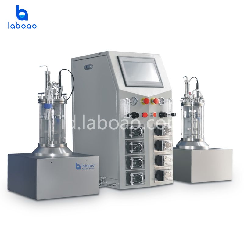 Desktop Dua Fermentor Bioreaktor Kaca Sterilisasi Siam